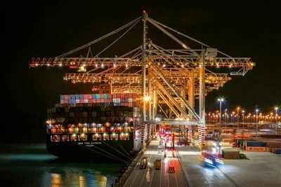Fifth-ranked Giant: Net Profit Down 94.4%, Facing Challenges