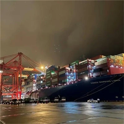 DDP Freight forwarder agent to UAE