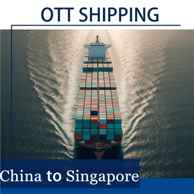 Door-to-Door China Singapore Freight Services | Air/Sea Shipping + Customs Clearance