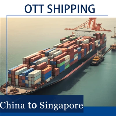 Ocean Freight From China To Singapore