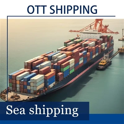 Vietnam Sea Freight-12 Days To Delivery